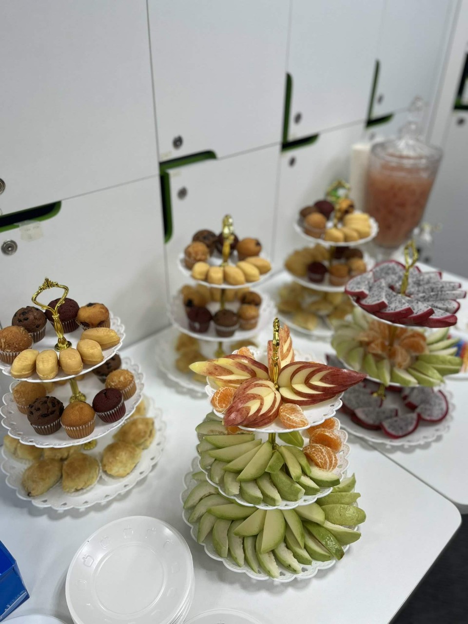 lĩnh vực hoạt động