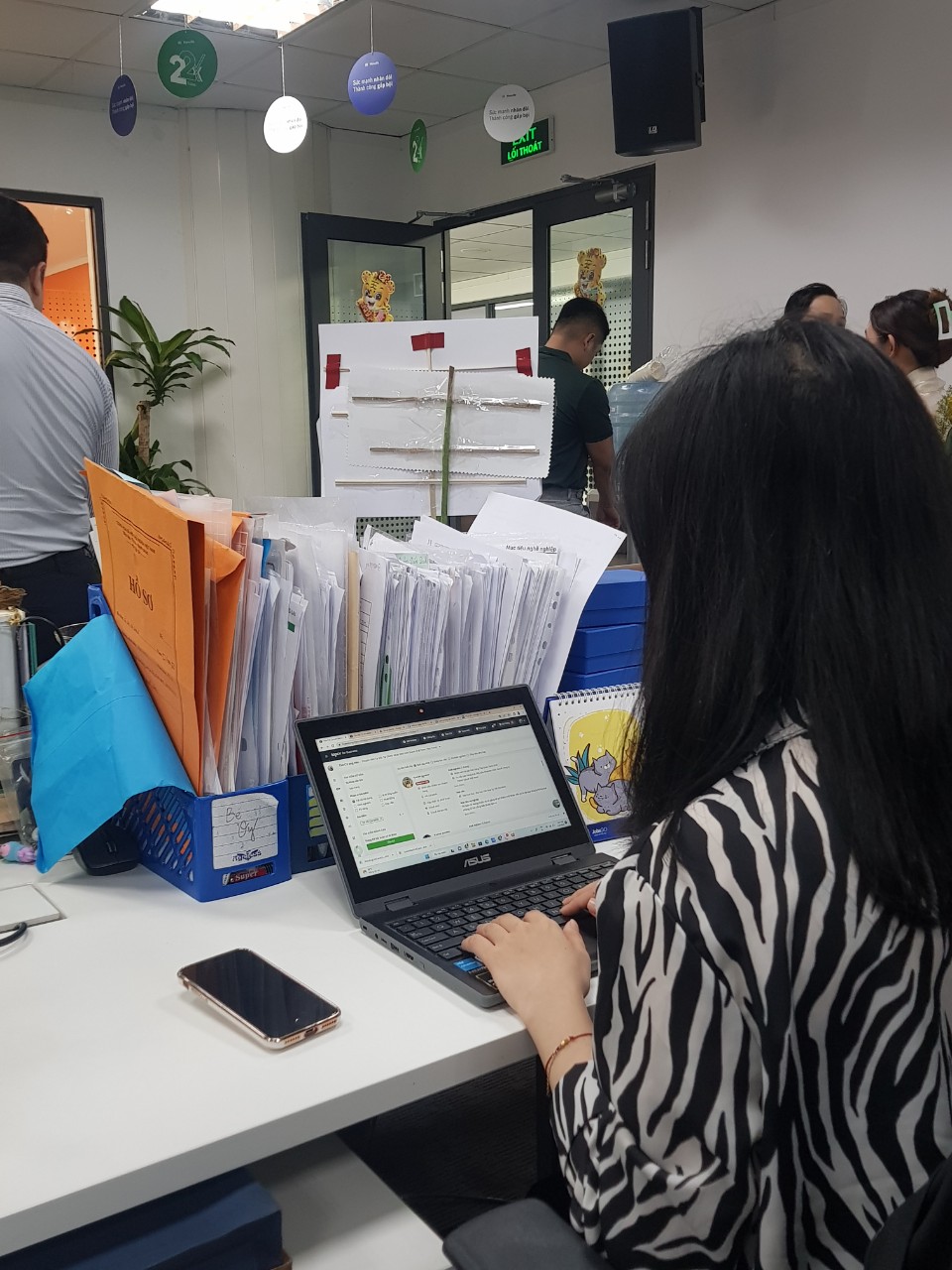 lĩnh vực hoạt động