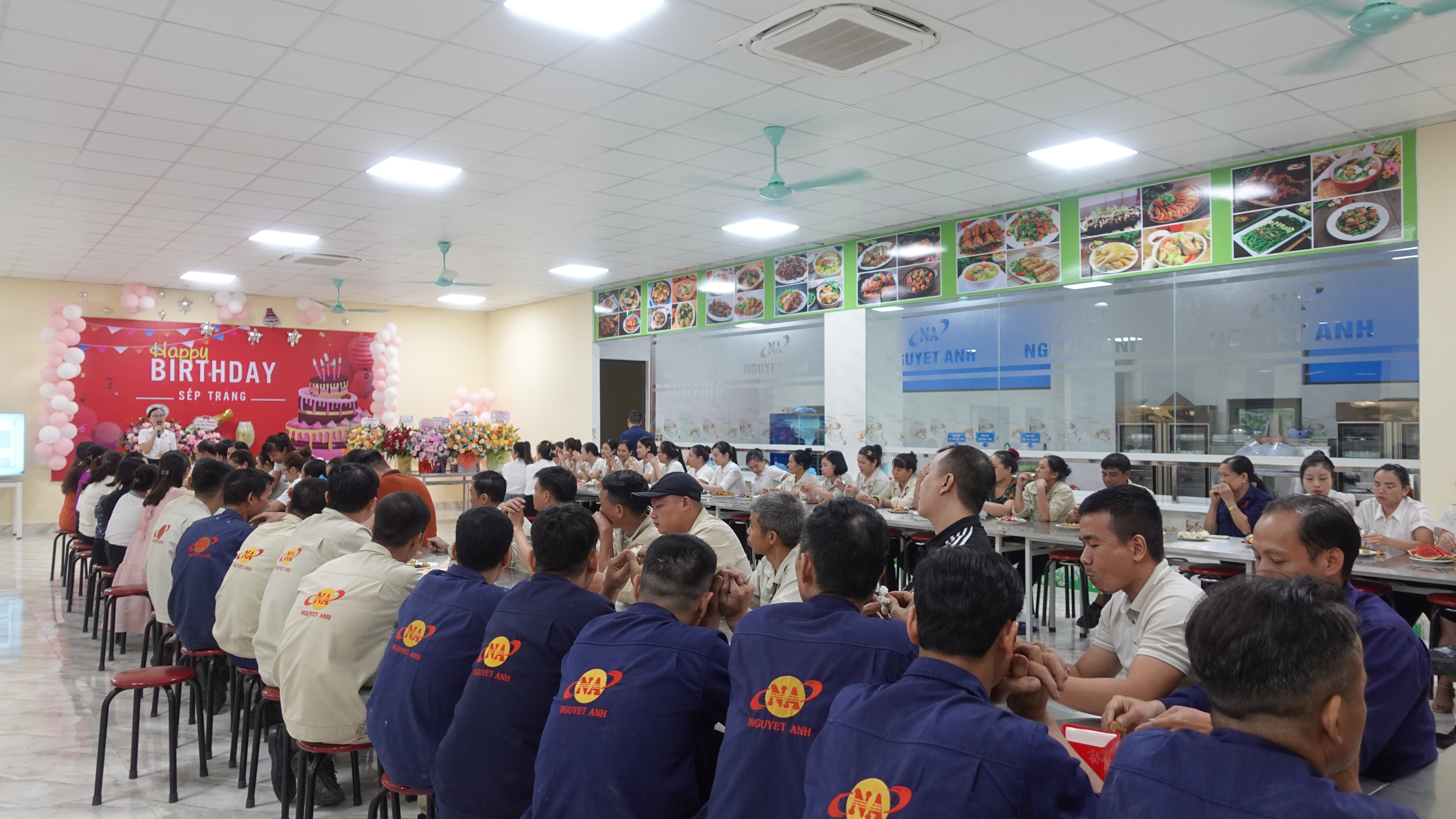 lĩnh vực hoạt động