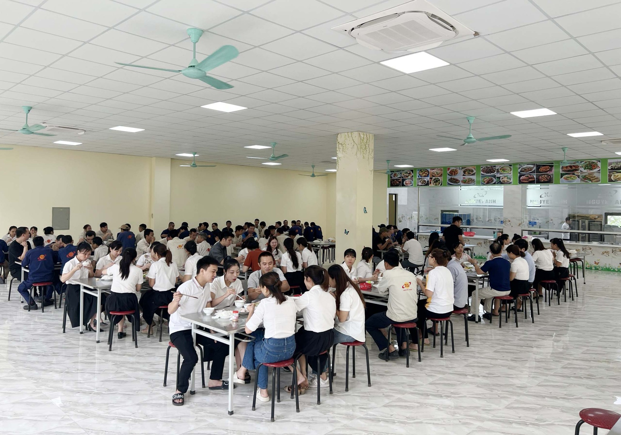 lĩnh vực hoạt động