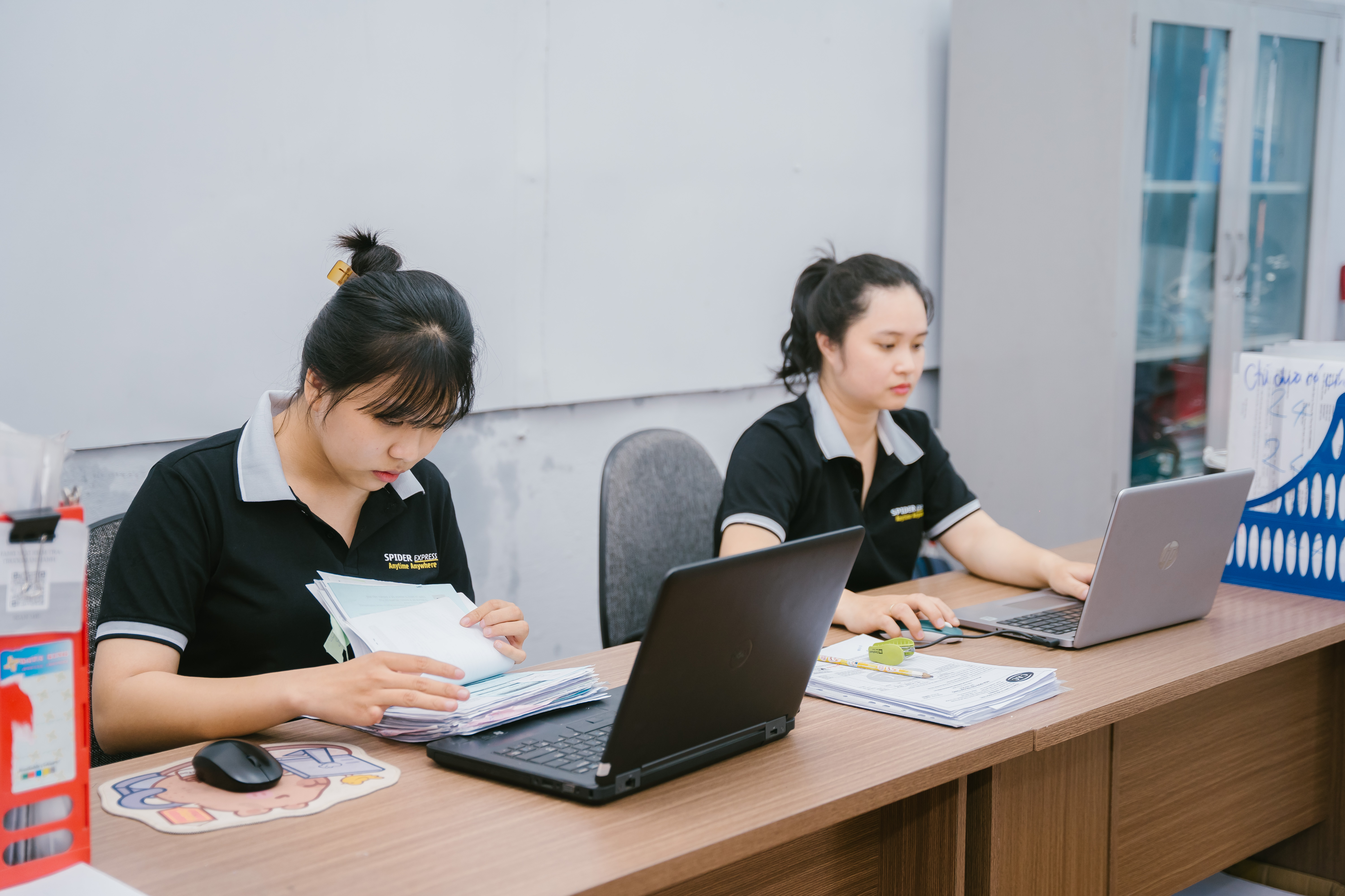 lĩnh vực hoạt động