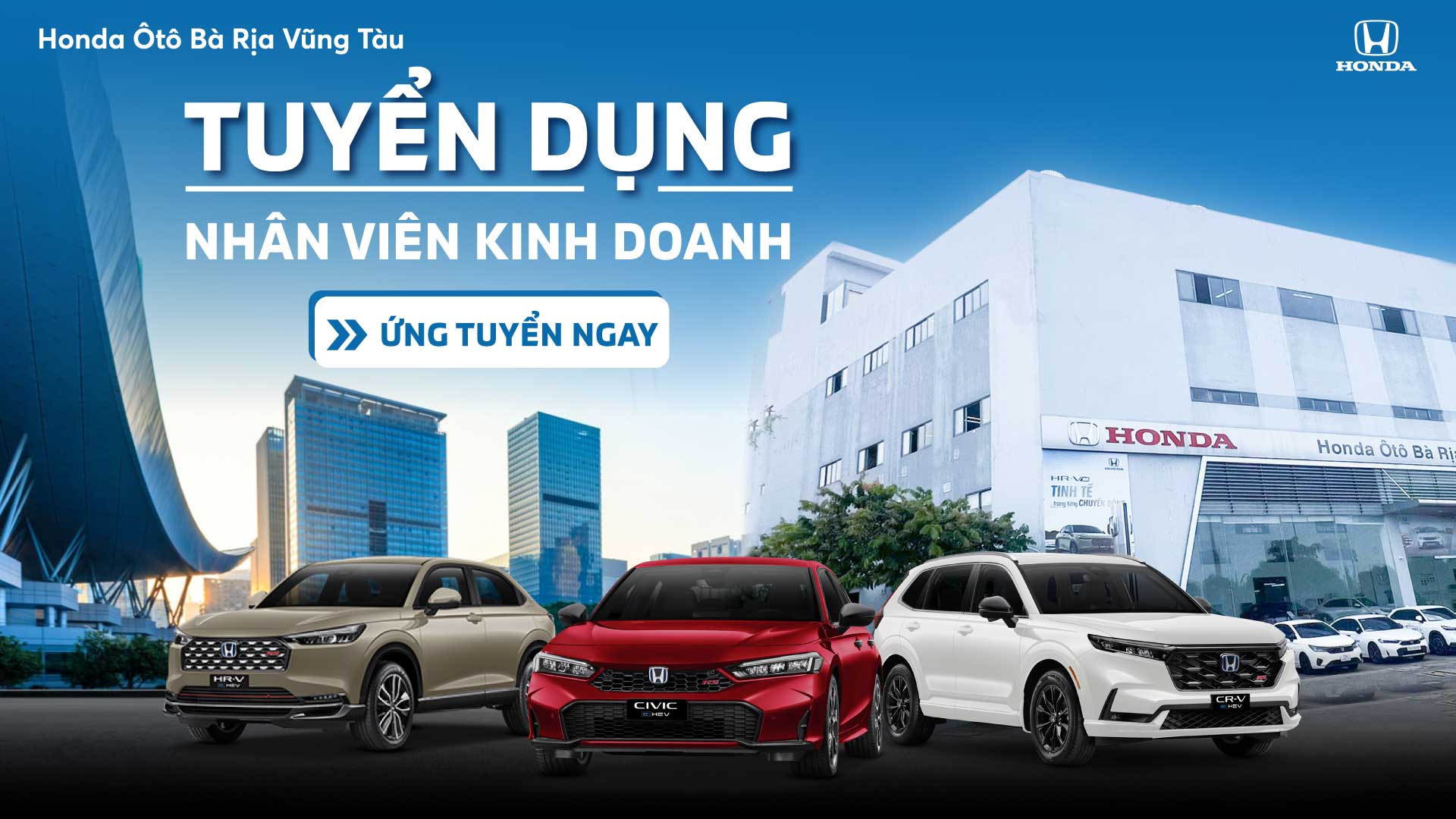 lĩnh vực hoạt động